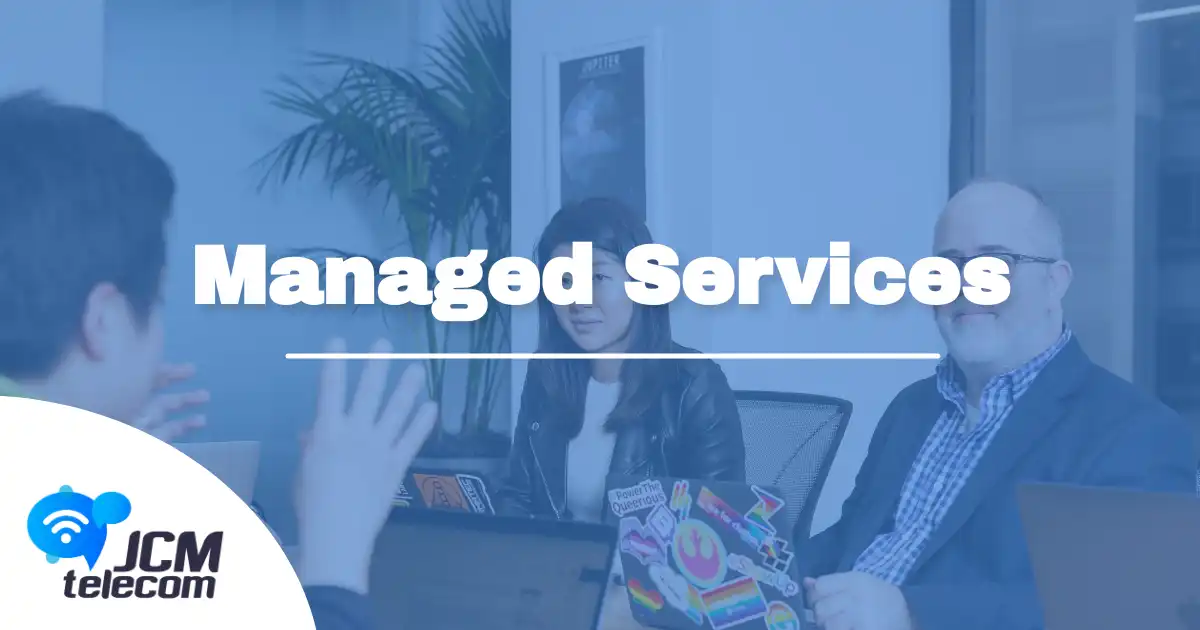 Professional Services Firms