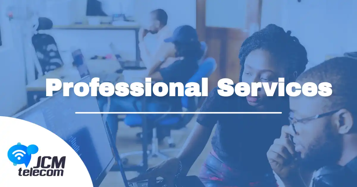 professional services vs. managed services